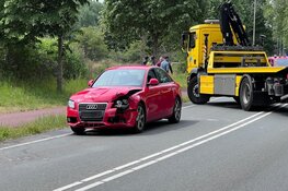 Paard overleden bij aanrijding