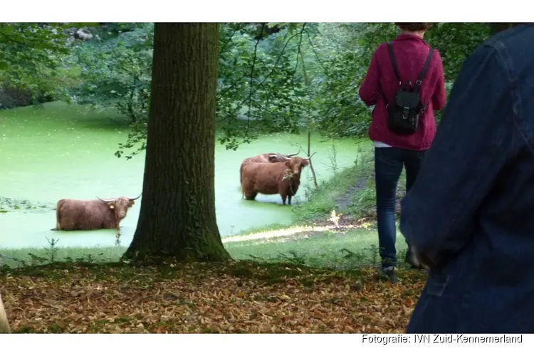Avondwandeling in wandelbos Groenendaal