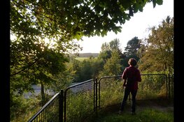 Avondwandeling in wandelbos Groenendaal