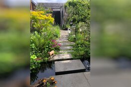 Laatste weekend Open Tuinenestafette Groei & Bloei