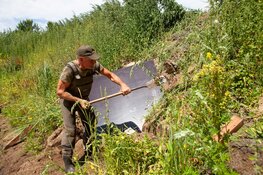 Nieuwe ijsvogelwand op Landgoed Westerhout