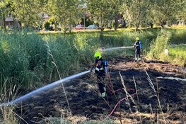 Natuurbrand bij Vondelweg in Haarlem