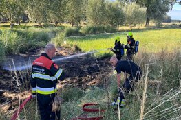 Natuurbrand bij Vondelweg in Haarlem
