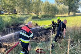 Natuurbrand bij Vondelweg in Haarlem