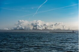 Duinbehoud verzoekt de provincie om aanscherping natuurvergunning Tata Steel