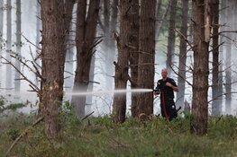 Grote duinbrand in Santpoort-Noord