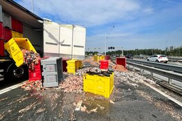 Vrachtwagen verliest lading vis op de A22