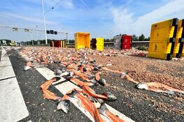 Vrachtwagen verliest lading vis op de A22