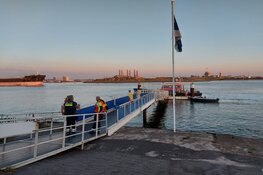 Baasje springt hond achterna van de Noordpier