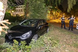 Automobilist rijdt Kenaupark in