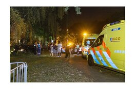 Automobilist rijdt Kenaupark in