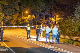 Bestelbus vliegt uit de bocht in Vogelenzang