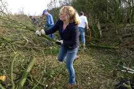 IVN Aan de slag op De Linie van Beverwijk