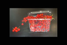 Nieuwe expositie in provinciehuis: ´The change of impasse´