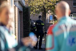 DSI doet instap in Velsen-Noord