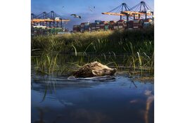 Programma Filmtheater Velsen - week 48