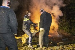 Grote oefening om politiehonden aan vuurwerk te laten wennen ivm Oud en Nieuw