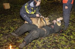 Grote oefening om politiehonden aan vuurwerk te laten wennen ivm Oud en Nieuw