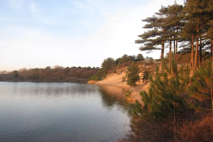 Rondje Oosterplas in februari, Zondag 12 februari 2023, 10:00 uur