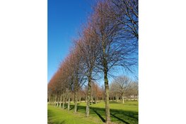 Wandelen jullie ook weer mee? Park Assumburg is nog steeds de moeite waard!!