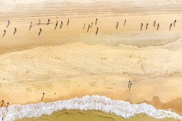 Inschrijven voor 30 van Zandvoort, Omloop van Zandvoort en Zandvoort Circuit Run nog mogelijk t/m maandag 13 maart