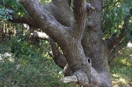 Zomertijdavond Belevingstocht op zondag 7 april