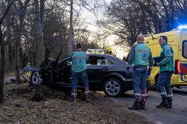 Taxichauffeur ernstig gewond na botsing tegen boom in IJmuiden