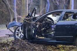 Taxichauffeur ernstig gewond na botsing tegen boom in IJmuiden