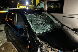 Vrouw en hond doodgereden door vluchtende automobilist