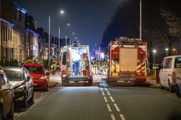 Vrouw en hond doodgereden door vluchtende automobilist