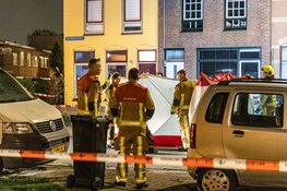 Vrouw en hond doodgereden door vluchtende automobilist