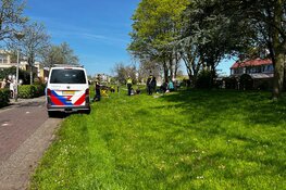 Kind uit boom gevallen in Velserbroek