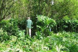 Aan de slag met de Reuzen Berenklauw!