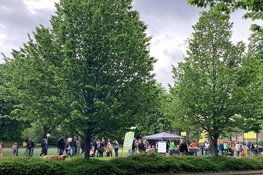 Heel Heemskerk heeft gezond de avondvierdaagse gelopen