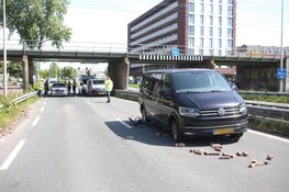 Vrachtwagen rijdt tegen spoorviaduct in Haarlem