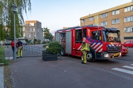 Man gooit drugs te water en wordt aangehouden