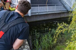 Man gooit drugs te water en wordt aangehouden