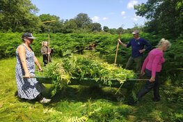 IVN Lekker hooien op Leyduin