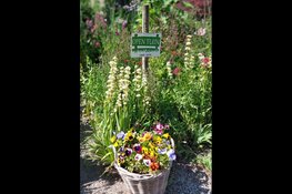 Open Tuinenweekend 2023 in Heemskerk