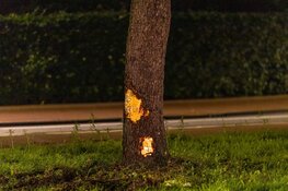 Auto tegen boom gereden in Aerdenhout