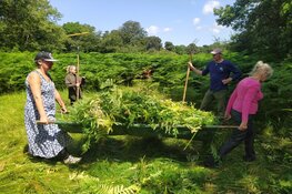 Lekker hooien op Leyduin!