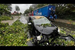 Automobilist krijgt boom op auto
