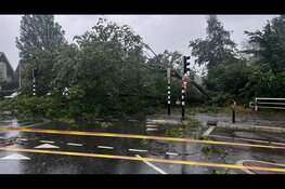 Boom omgewaaid in Haarlem, N208 dicht