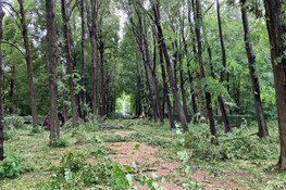 Buitenplaats Beeckestijn zwaar getroffen door storm Poly