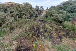 Beginnende duinbrand ontdekt in Wijk aan Zee