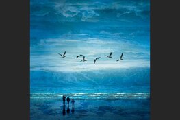 Expositie Marion Meesters in de Bibliotheek