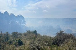 Brandweer met man en macht paraat bij flinke natuurbrand in Heemskerk