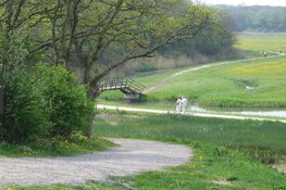 Zomerse werkdag in Middenduin