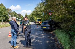 Auto tegen boom gereden in Haarlem