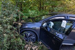 Auto tegen boom gereden in Haarlem